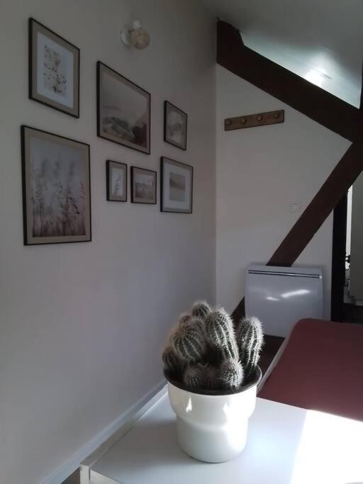 Charmante Petite Maison Vieux  Extérieur photo